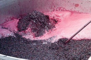wine cap management Pulsair