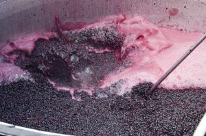 Wine Cap Management