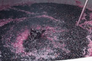 Wine Cap Management