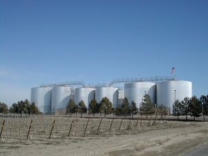 Wine Cap Management