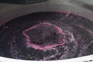 red wine cap fermentation