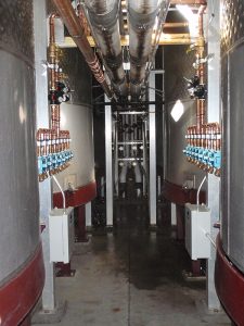 red wine cap fermentation