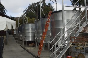 red wine cap fermentation