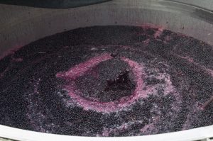 red wine cap fermentation